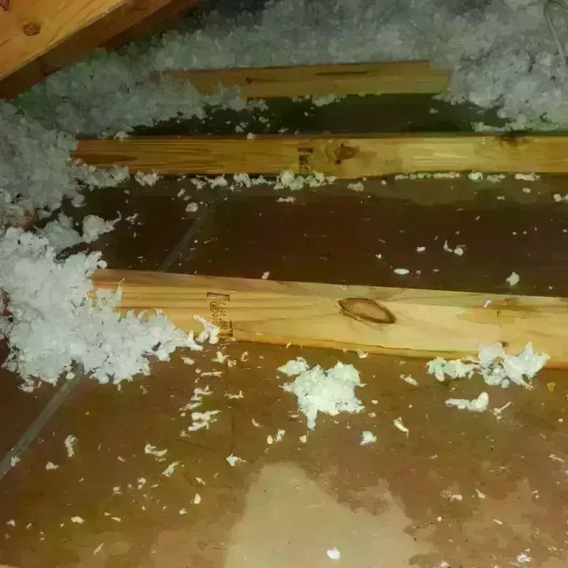 Attic Water Damage in Roxbury, WI